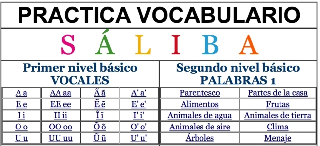 Tabla que describe las vovcales en Sáliba y algunas categorías lingüísticas. Es un pantallazo de la interfaz del diccionario Sáliba-Español